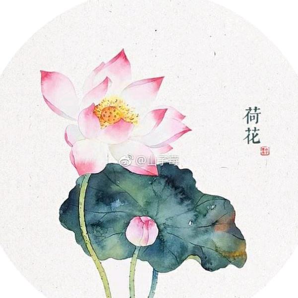 红星