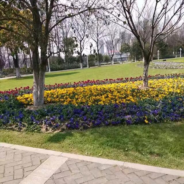 执子之手，与子偕老