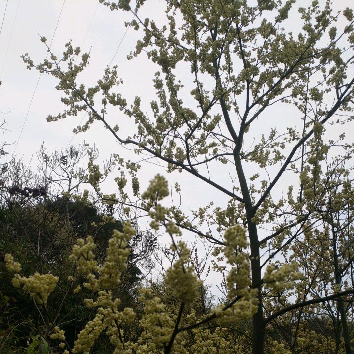 碧波钓月