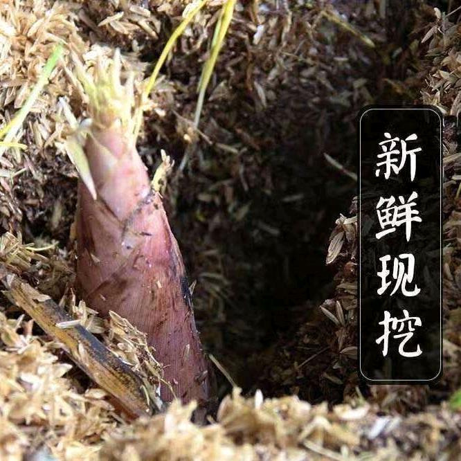 我爱好美食