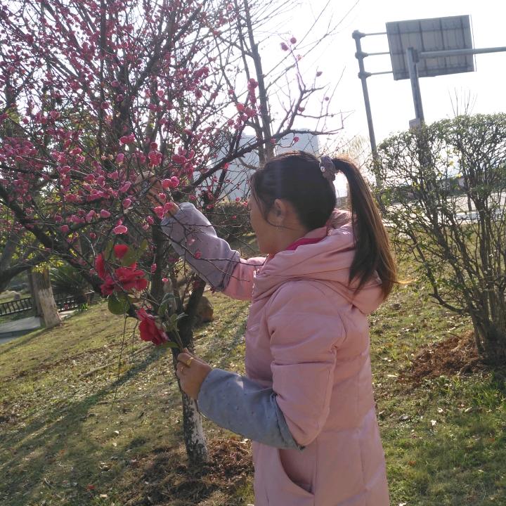 请叫我🌸🌸lan 姐🌸🌸