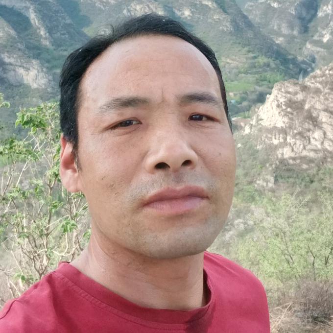 自由飞翔