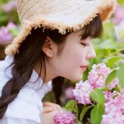 紫薇花开🌸
