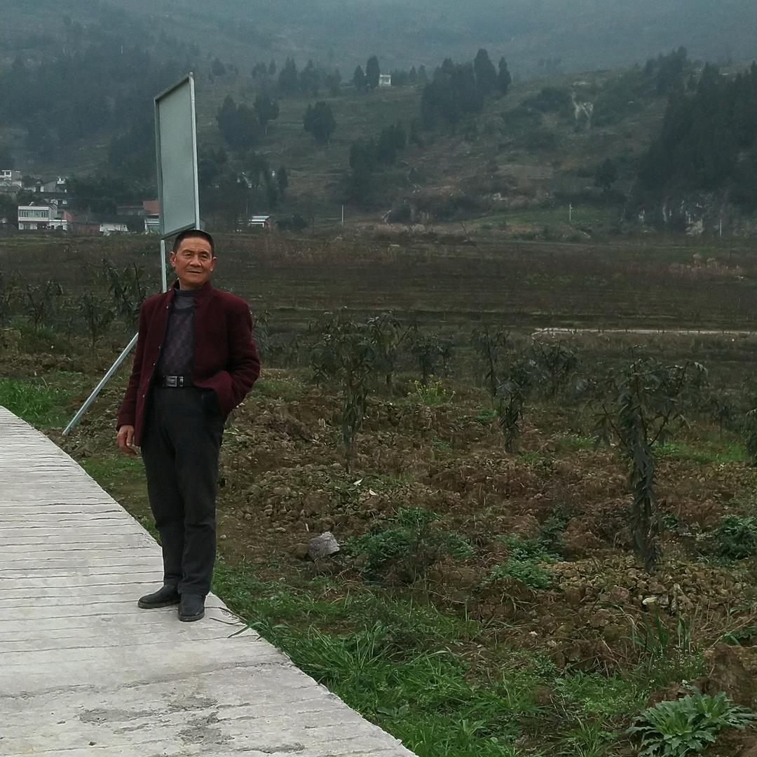 辛福每一天