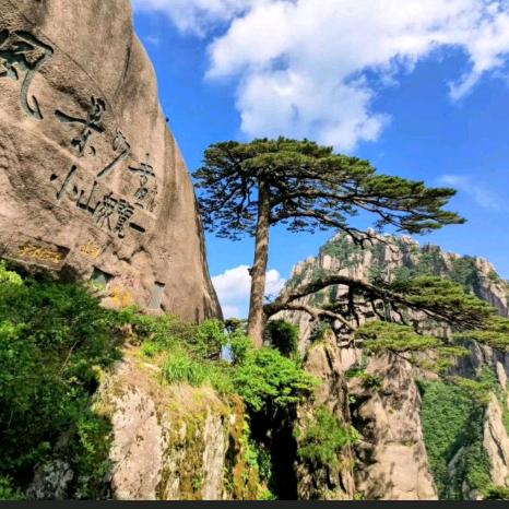 一帆风顺中国🇨🇳农民工🇨🇳🇨?