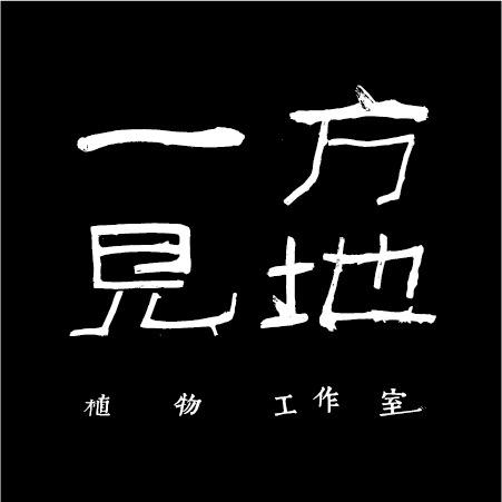 一方见地(璐璟)@抖音