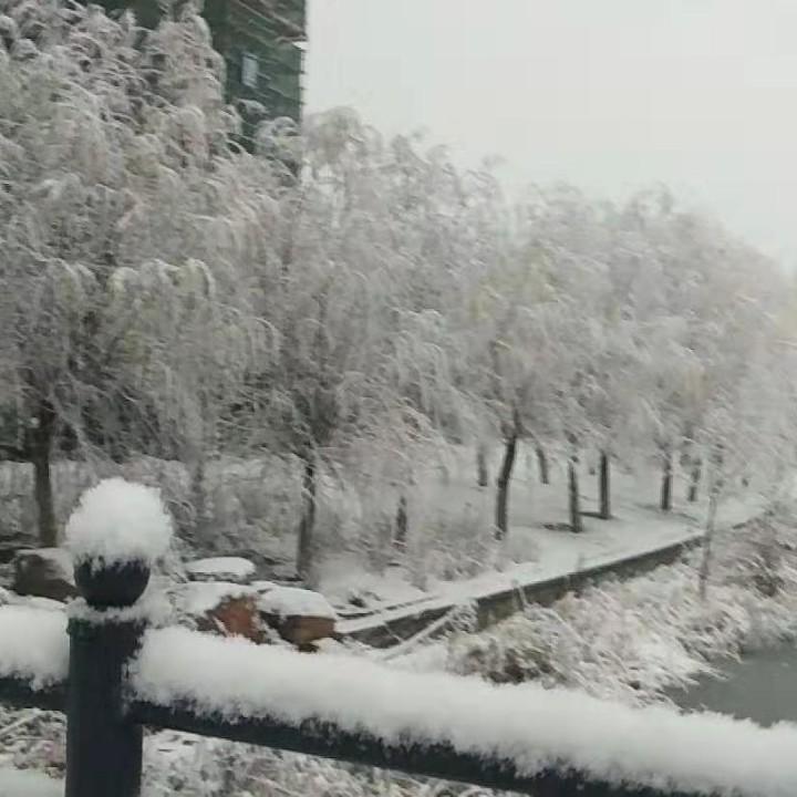 胡