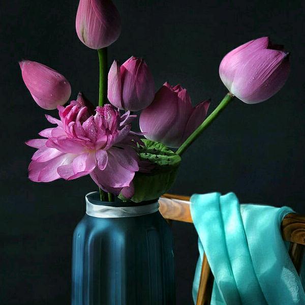 ❤️向往的生活