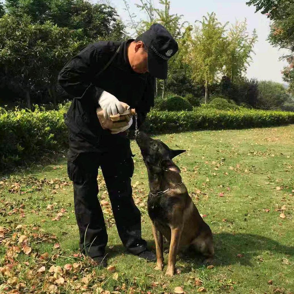 无言战友