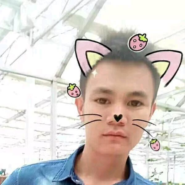 光伏王子