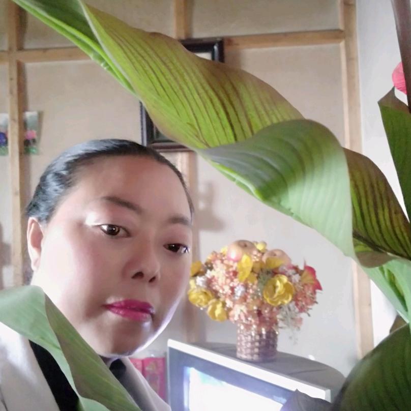 罗连儿