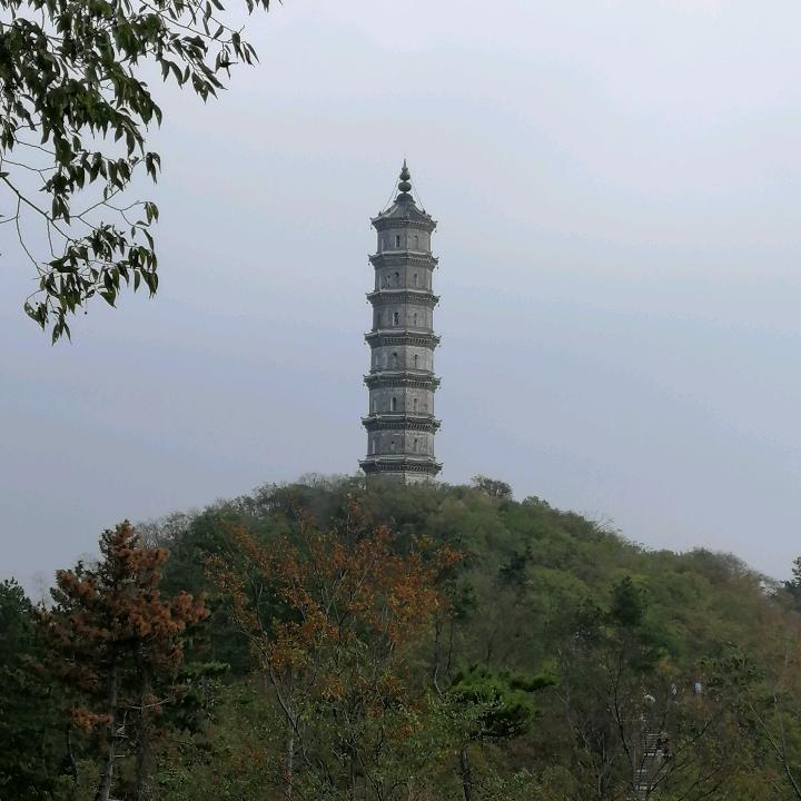 杨老师
