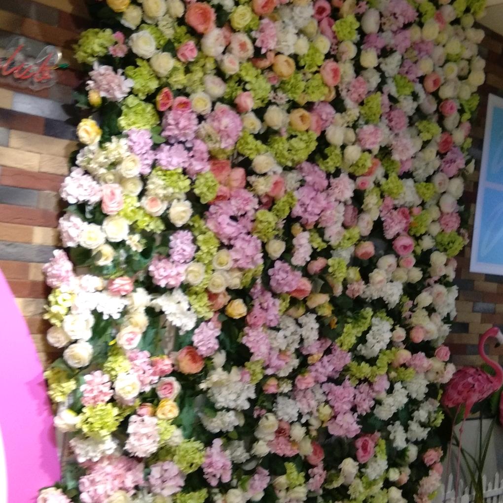 开心果