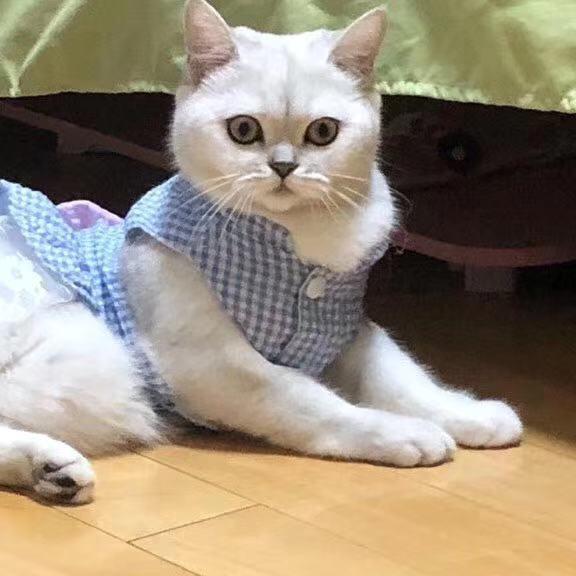 沐子同学