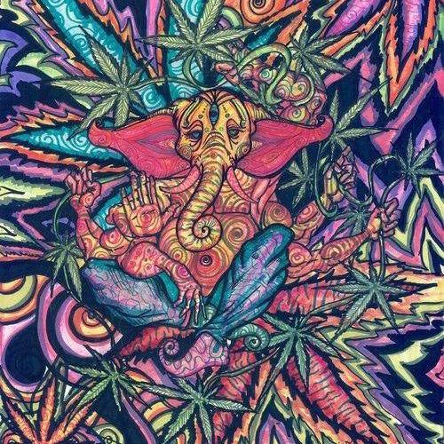 非战斗型异能者🦠