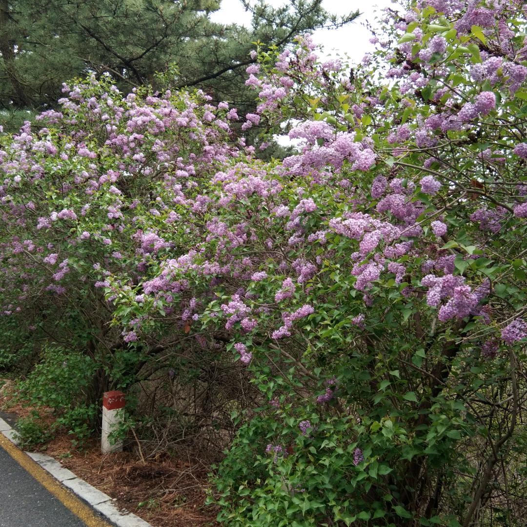 缘分让我遇见你