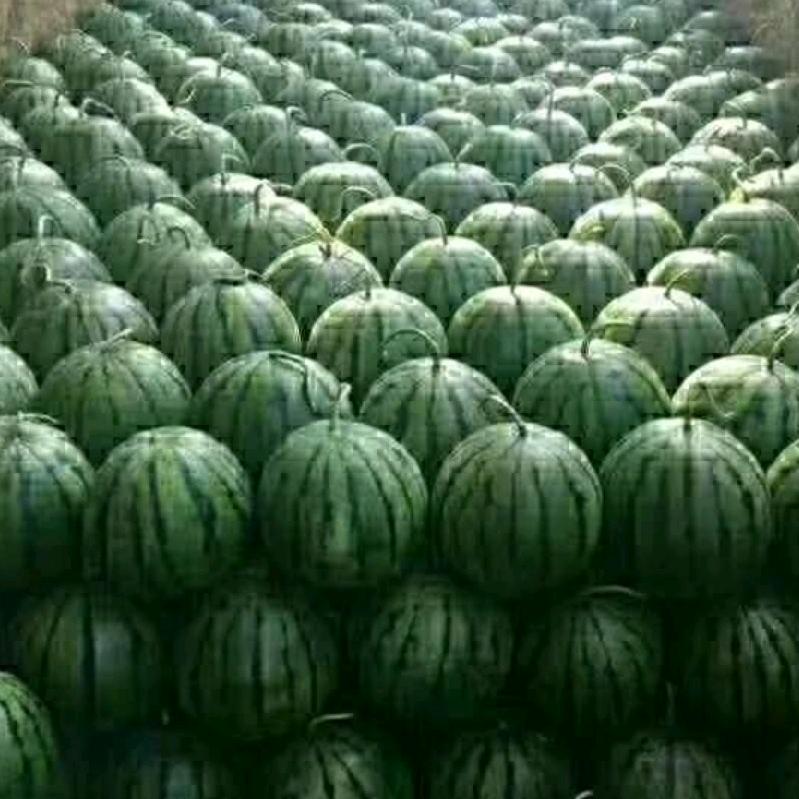 西瓜