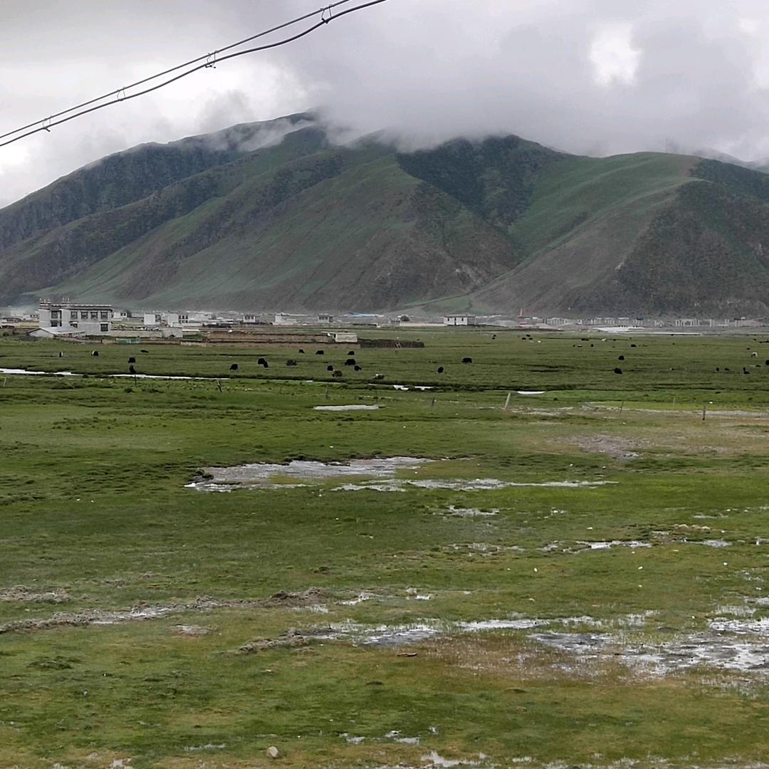 惊涛拍岸