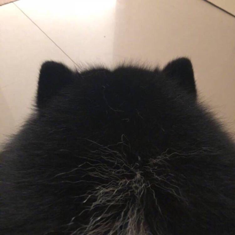 小雀斑很酷😶