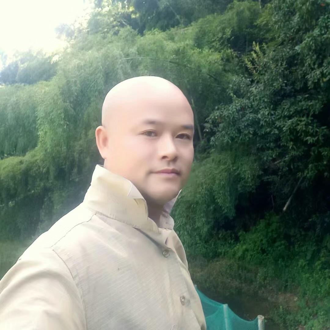 光头杨哥