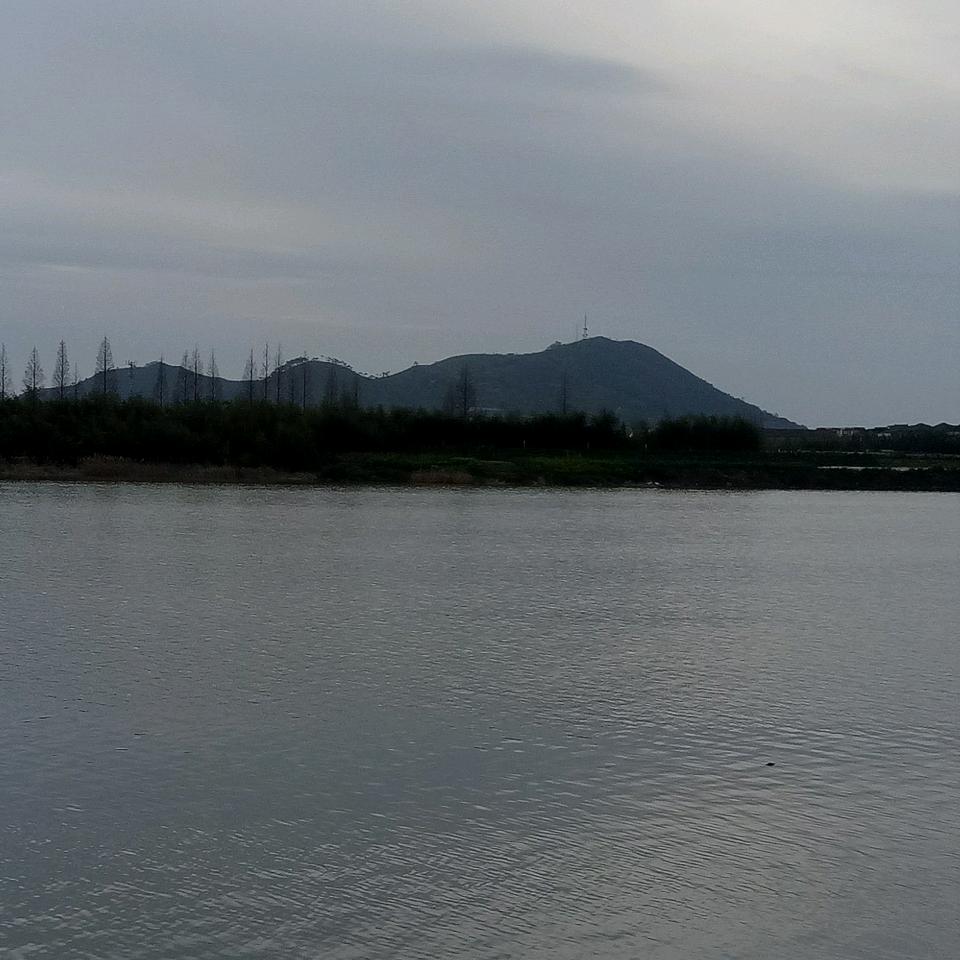 梦回大唐，（要土鸡蛋@我）