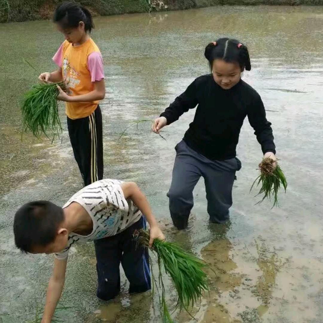 阿左哥1120