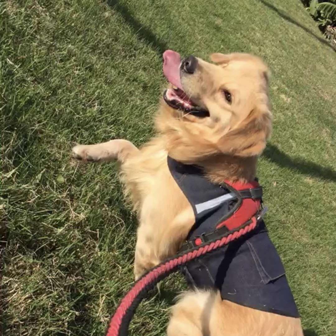C.Y🌀