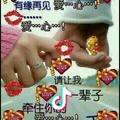你在我的记忆里