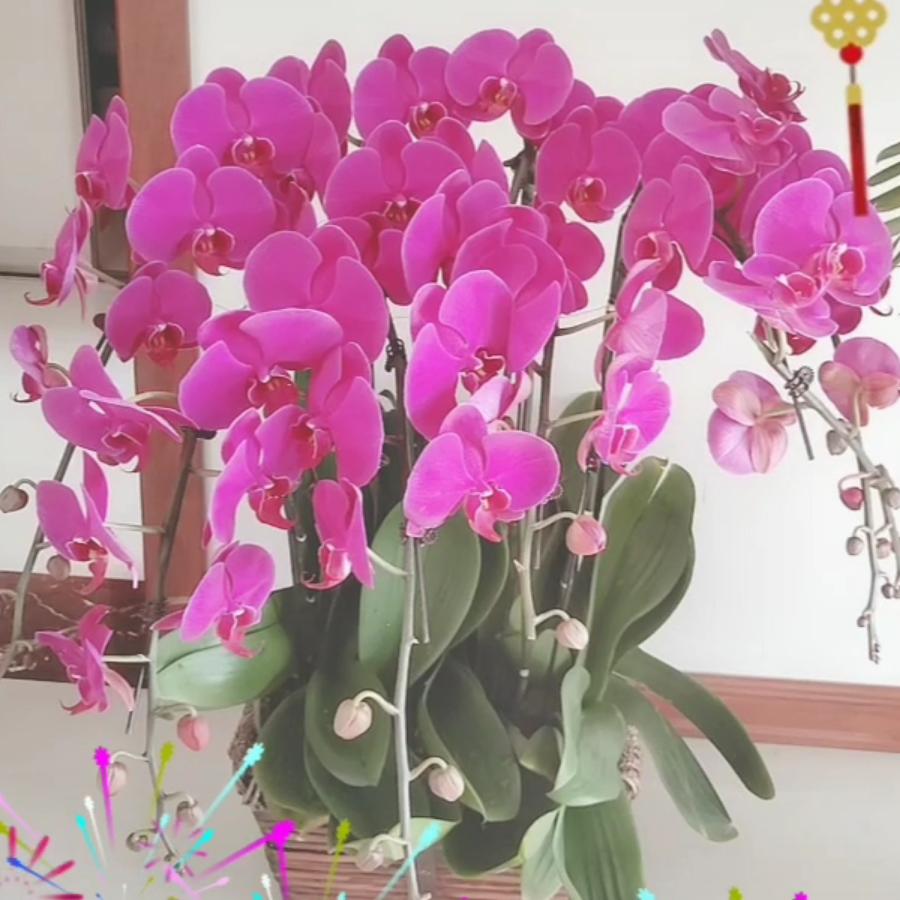 锦绣中华