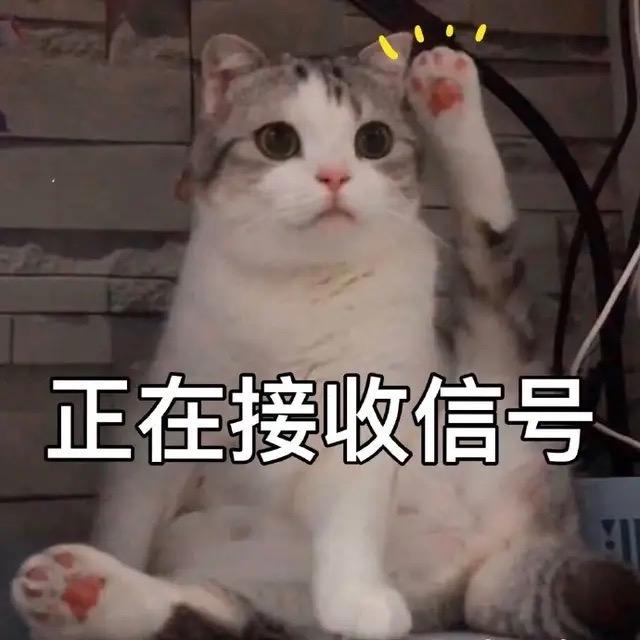 木木木林水