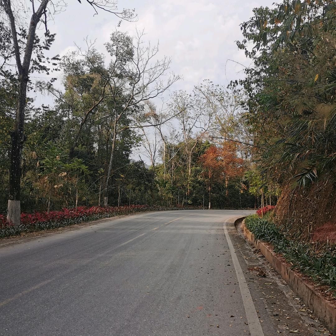 关于自己的风景