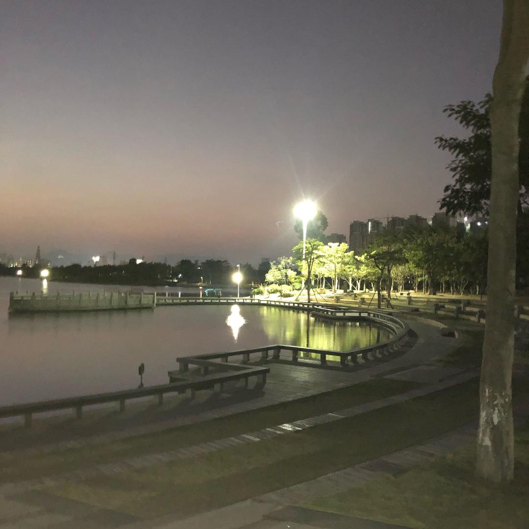 流光未至
