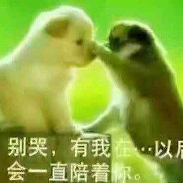 谁能懂我