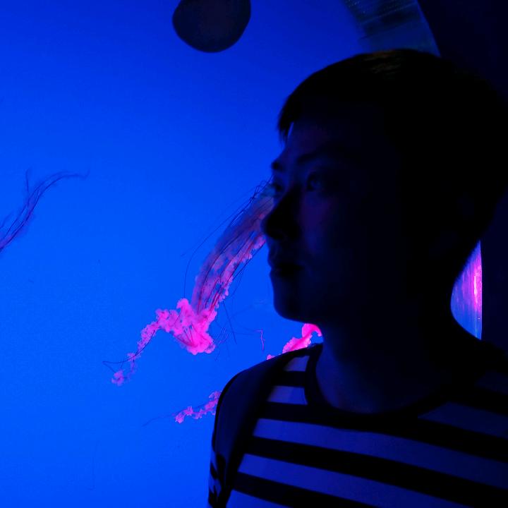 西格玛∑