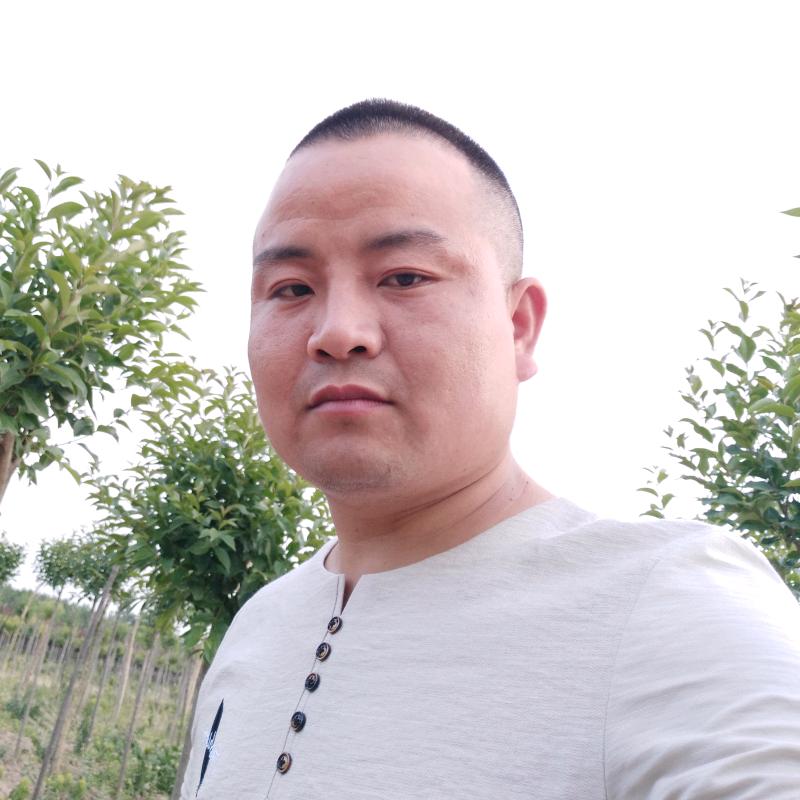 风神之恋