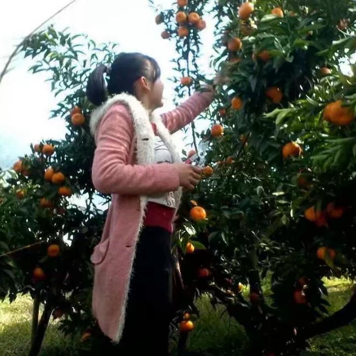 花瓶