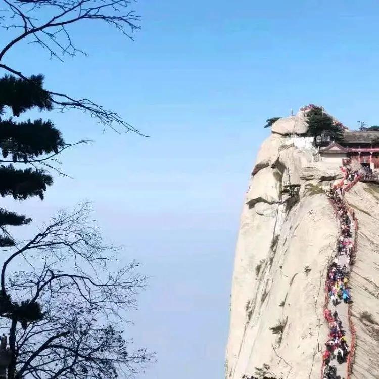 彩屏