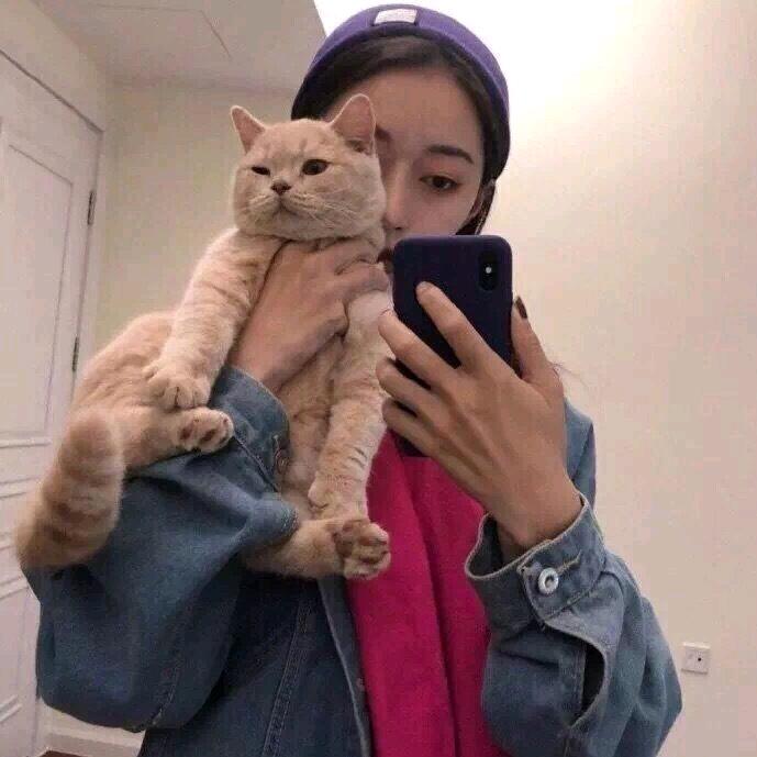 月亮🌙与六便士