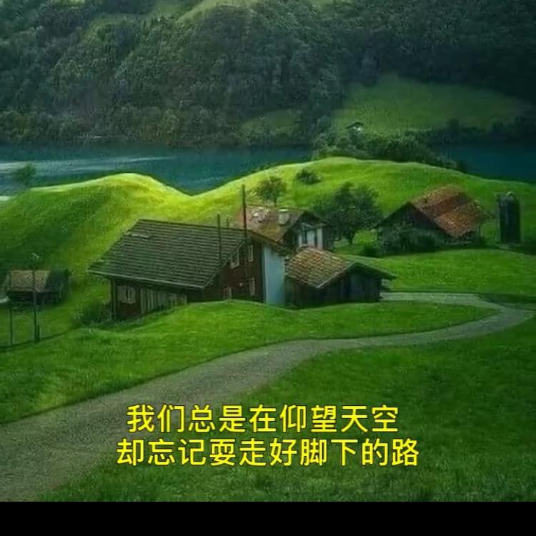 七荤八素