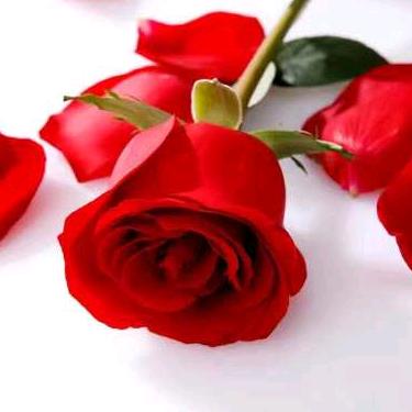 @.MM