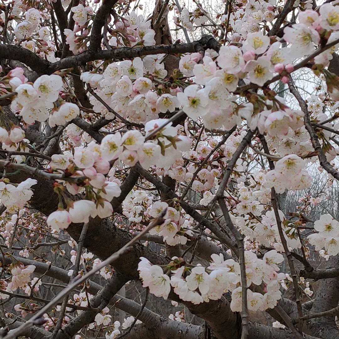 港湾（二次线）