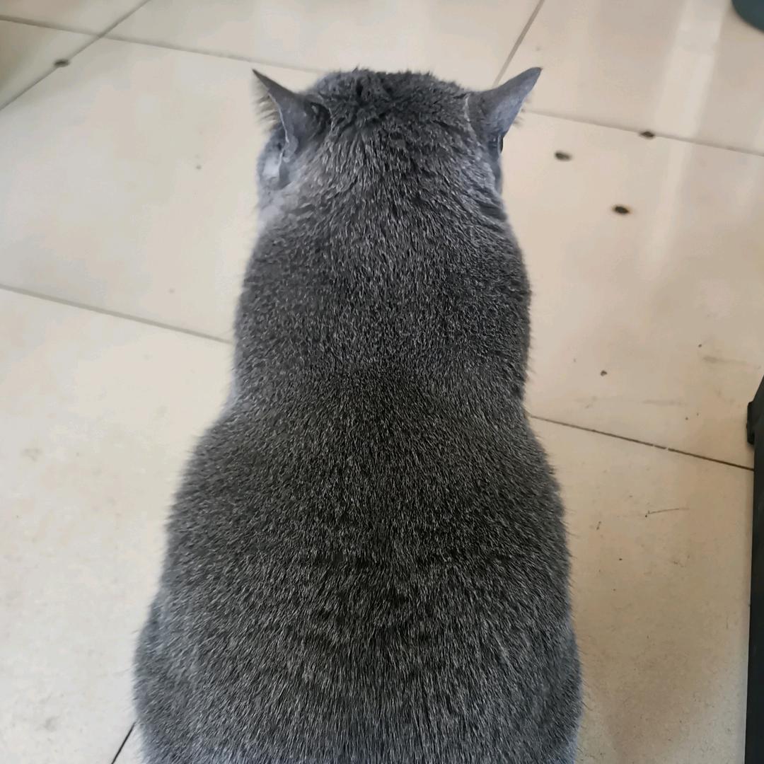 晓阳
