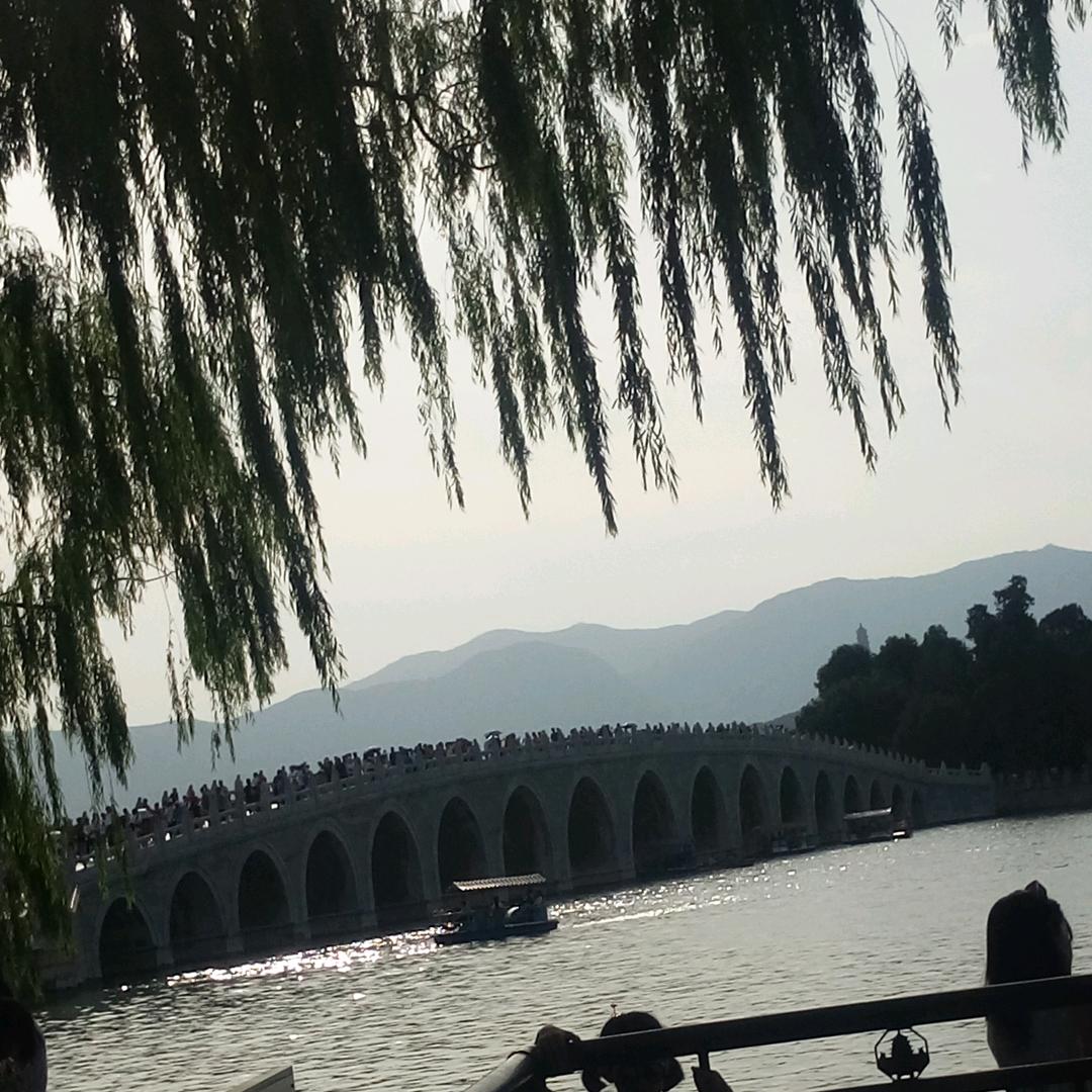 姚牛牛家的小牛牛