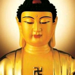 东北，野狼，飝飝籠，三亚？