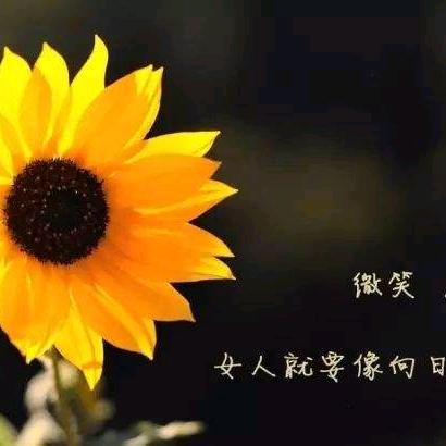 柠檬酸