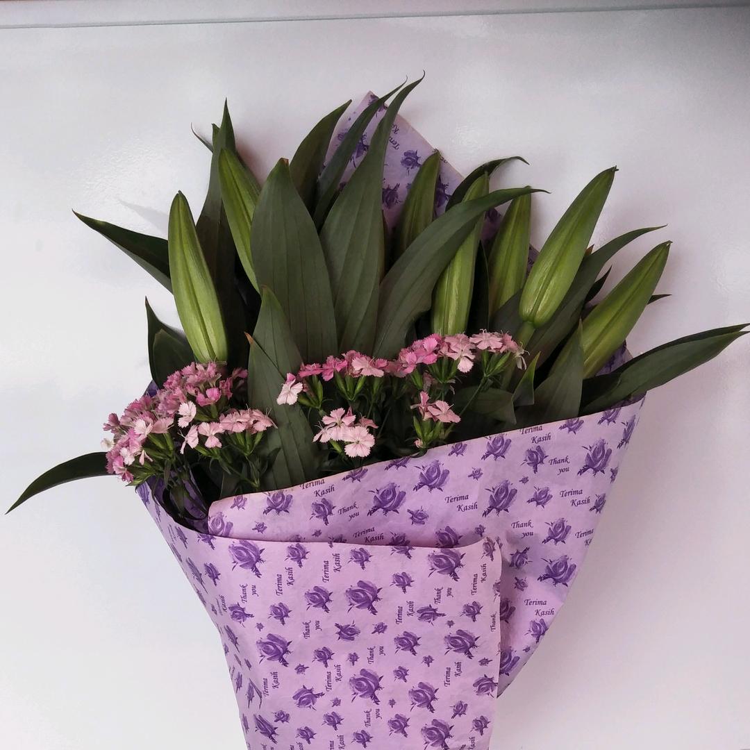 追风(拒绝连赞）🔥🔥🔥