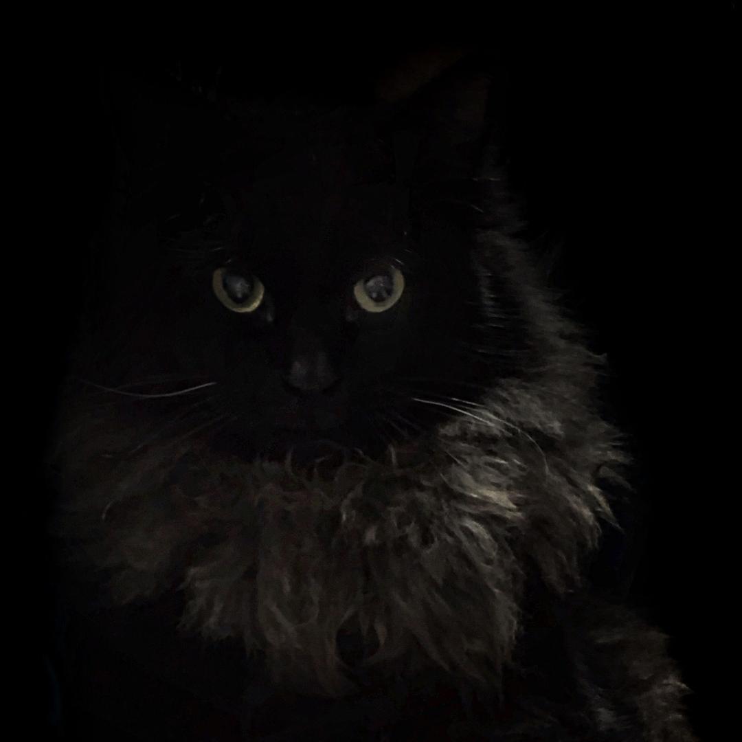 不到中羽5级不改名