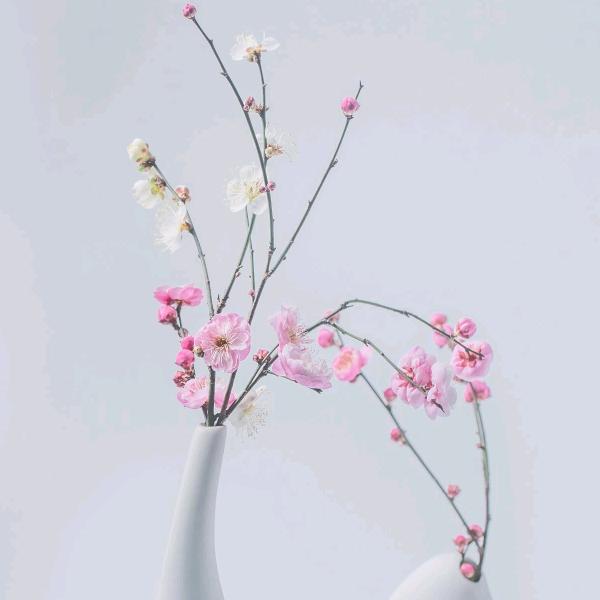 用户♛幸福美满