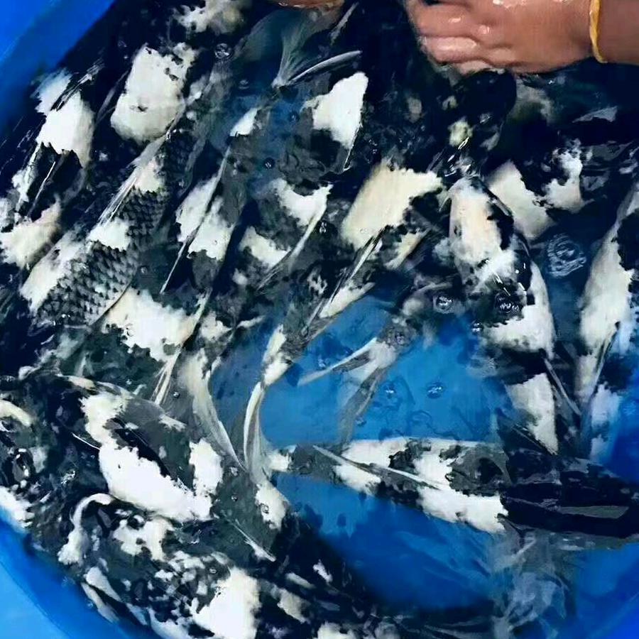 信之源水产养殖场
