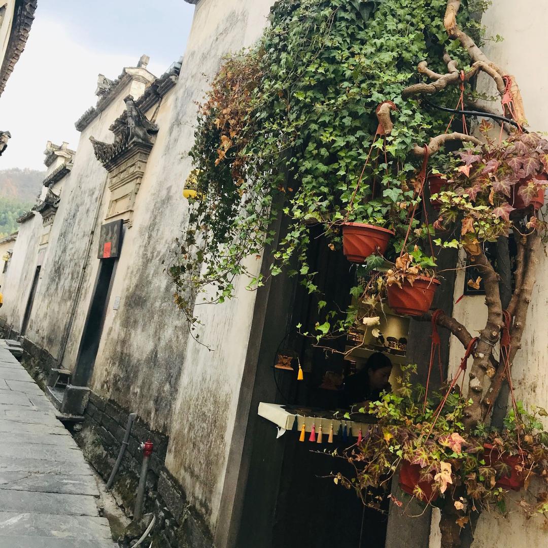 地图鱼mm